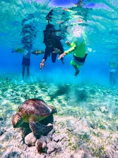 Gili Trawangan Island в мае — фото погоды (2026-05-31)