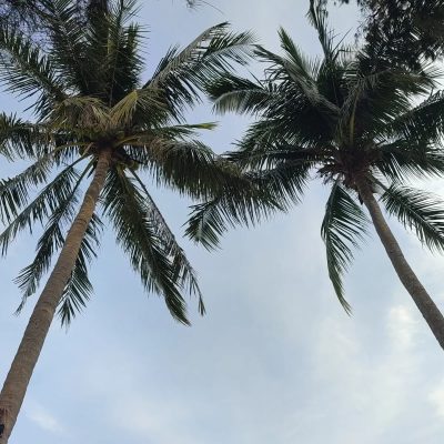 Redang Island Resort, Redang Island — фото погоды в июле (2025-07-26)