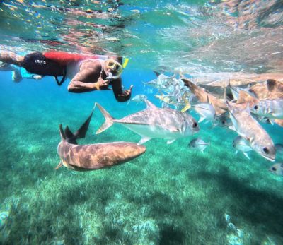 Shark Ray Ally, Belize в сентябре — фото погоды (2025-09-22)