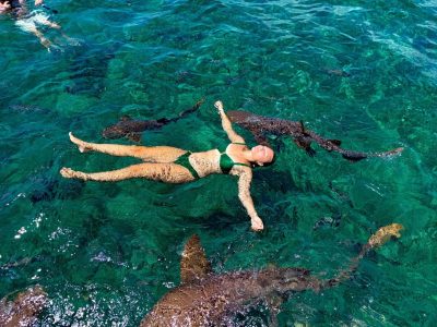 Shark Ray Ally, Belize в апреле — фото погоды (2026-04-22)