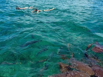 Shark Ray Ally, Belize в апреле — фото погоды (2026-04-22)