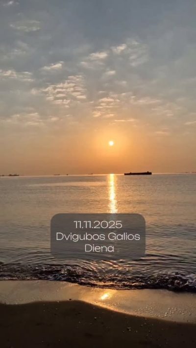 Nida Beach в ноябре — фото погоды (2025-11-11)