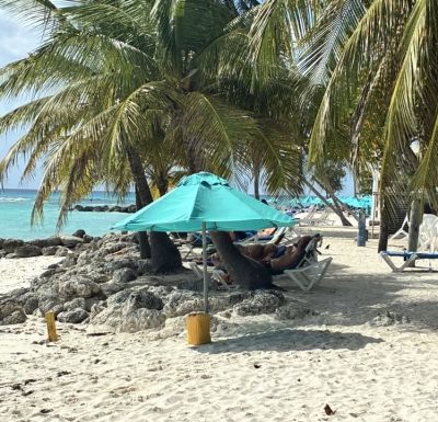 Worthing Beach, Barbados в ноябре — фото погоды (2025-11-28)