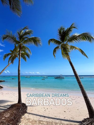 Worthing Beach, Barbados в ноябре — фото погоды (2025-11-30)