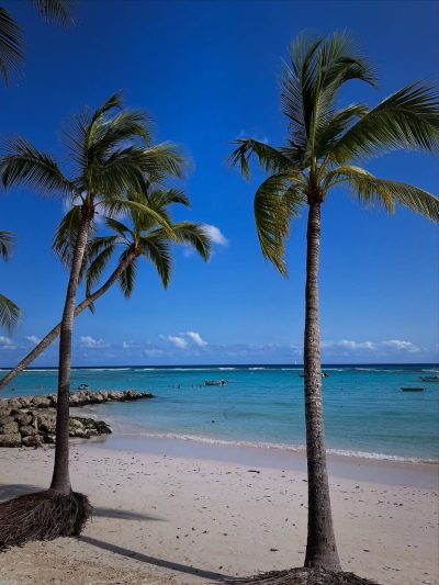 Worthing Beach, Barbados в ноябре — фото погоды (2025-11-30)