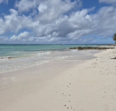 Worthing Beach, Barbados в январе — фото погоды (2026-01-29)