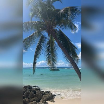 Worthing Beach, Barbados в мае — фото погоды (2026-05-30)