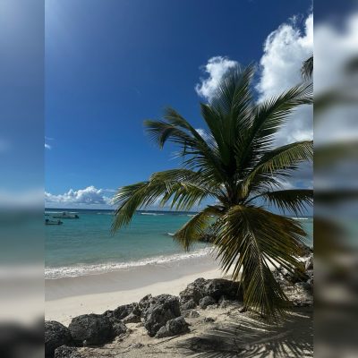Worthing Beach, Barbados в мае — фото погоды (2026-05-30)