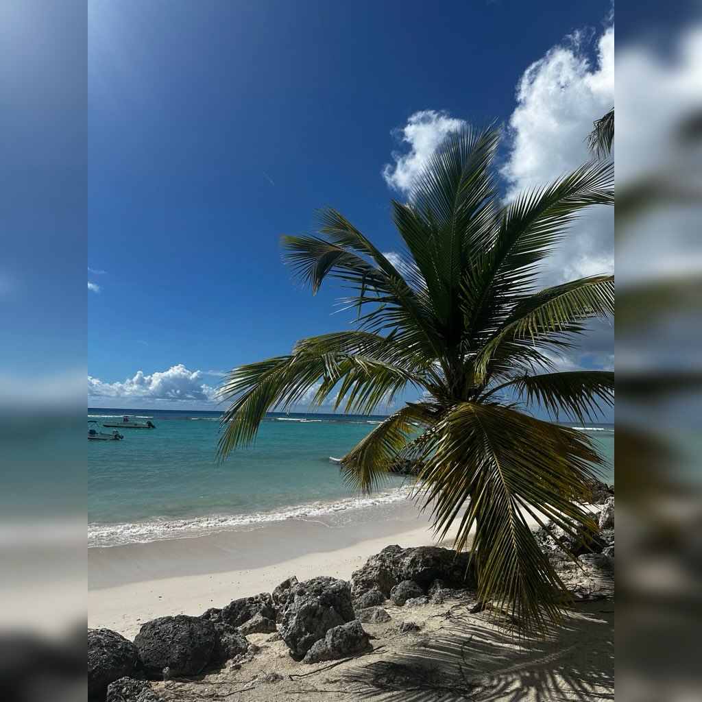 Погода в Worthing Beach, Barbados