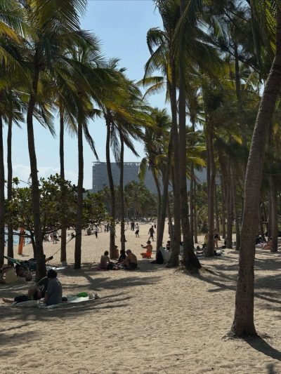 Hainan Island в январе — фото погоды (2026-01-22)