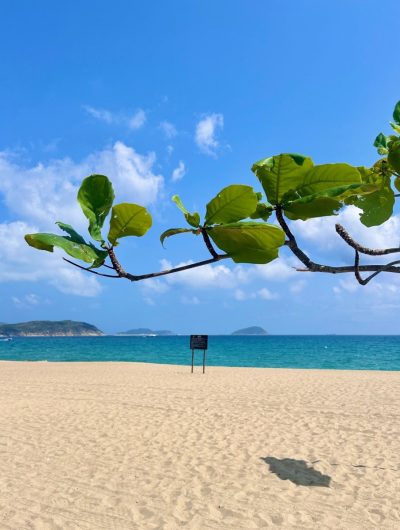 Hainan Island в марте — фото погоды (2026-03-26)