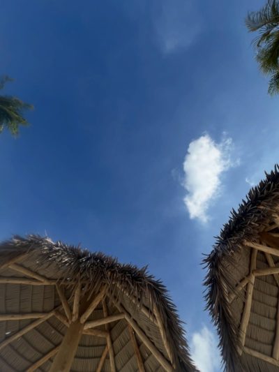 Tamarijn Aruba All Inclusive в июле — фото погоды (2026-07-14)