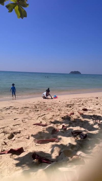 Siam Beach Resort Koh Chang - สยามบีชรีสอร์ท เกาะช้าง — фото погоды в декабре (2025-12-31)