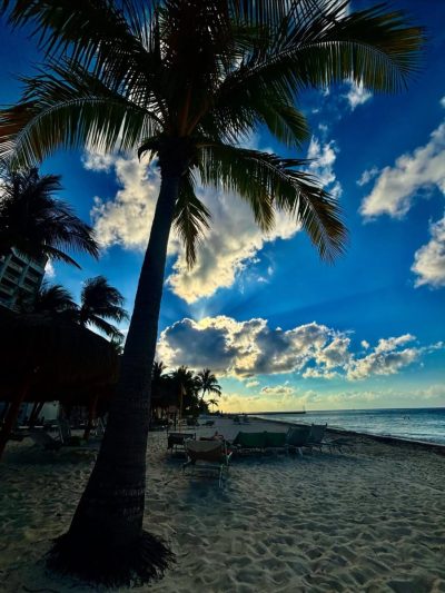 Melia Cozumel Hotels & Resorts в январе — фото погоды (2026-01-24)