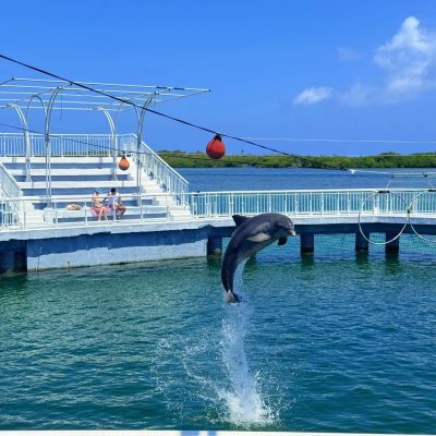 Delfinario Cayo Santa María в мае — фото погоды (2025-05-29)