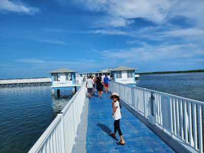 Delfinario Cayo Santa María в августе — фото погоды (2025-08-31)
