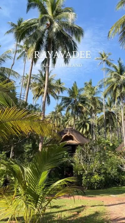 Rayavadee Hotels And Resort, Krabi Thailand в январе — фото погоды (2026-01-26)