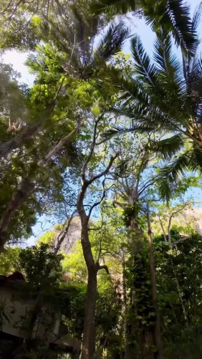 Rayavadee Hotels And Resort, Krabi Thailand в феврале — фото погоды (2026-02-21)