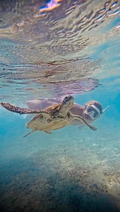 Guraidhoo , Maldives Islands в январе — фото погоды (2026-01-20)