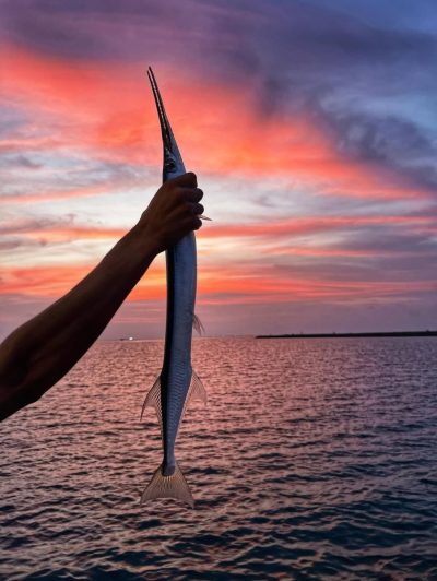 Guraidhoo , Maldives Islands в марте — фото погоды (2026-03-30)