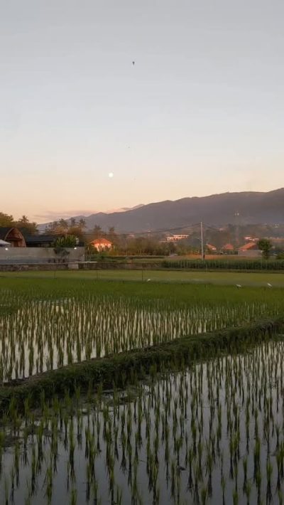 Lovina, Bali в июне — фото погоды (2026-06-02)