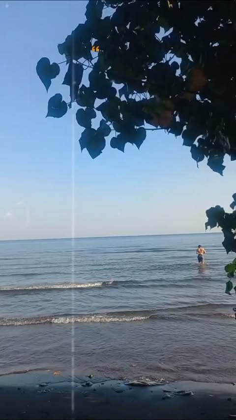 Погода в Ловина