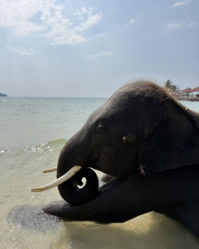 Kai Bae Beach в апреле — фото погоды (2026-04-02)