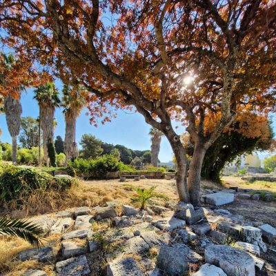 Ancient Agora, Kos в ноябре — фото погоды (2024-11-24)