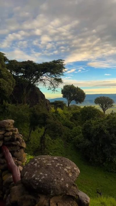 Ngorongoro Serena Safari Lodge в марте — фото погоды (2026-03-20)
