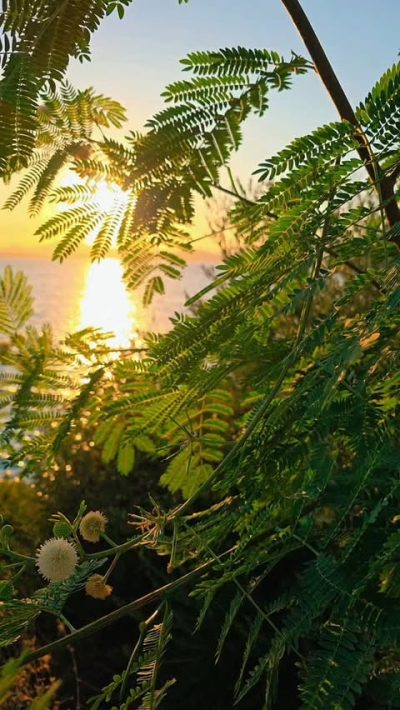 Bodrum - İçmeler в сентябре — фото погоды (2025-09-24)