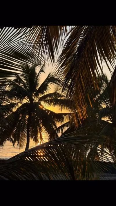 Sri Lanka, Tangalle в январе — фото погоды (2026-01-26)