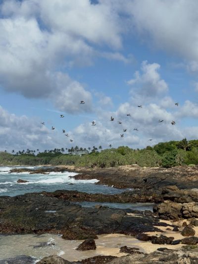 Sri Lanka, Tangalle в июле — фото погоды (2026-07-16)
