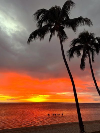 Sofitel Mauritius L'Impérial Resort & Spa — фото погоды в августе (2025-08-13)