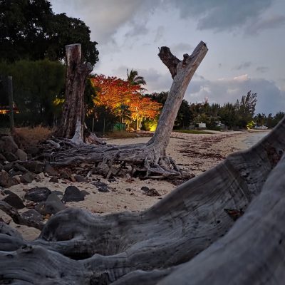 La Preneuse Mauritius в августе — фото погоды (2025-08-30)