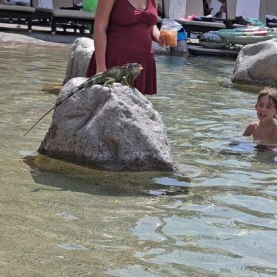 Villa del Palmar Flamingos Beach Resort & Spa — фото погоды в октябре (2025-10-17)