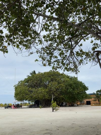 Adh. Dhangethi в октябре — фото погоды (2025-10-21)