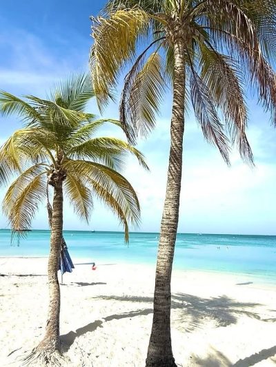 MooMba Beach в ноябре — фото погоды (2025-11-10)