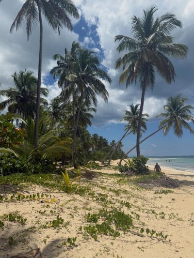 Samana Las Terrenas в апреле — фото погоды (2026-04-30)