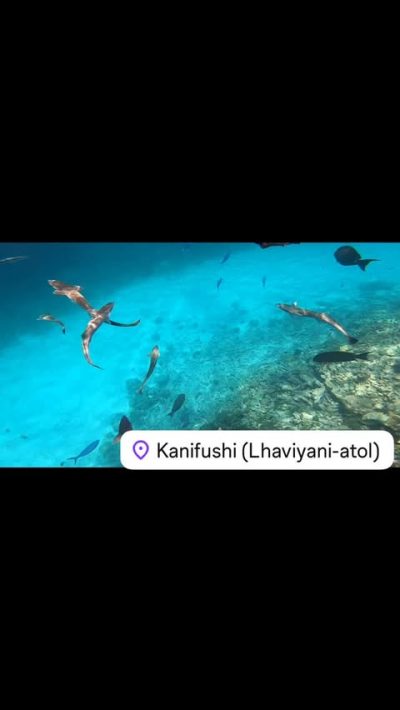 Kanifushi (Lhaviyani-atol) в апреле — фото погоды (2025-04-21)
