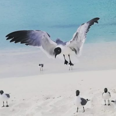 Los Roques Beach в феврале — фото погоды (2021-02-14)