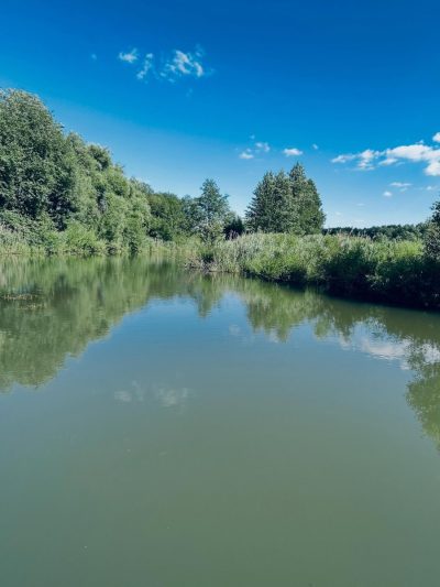 Там,где весело в июне — фото погоды (2026-06-21)
