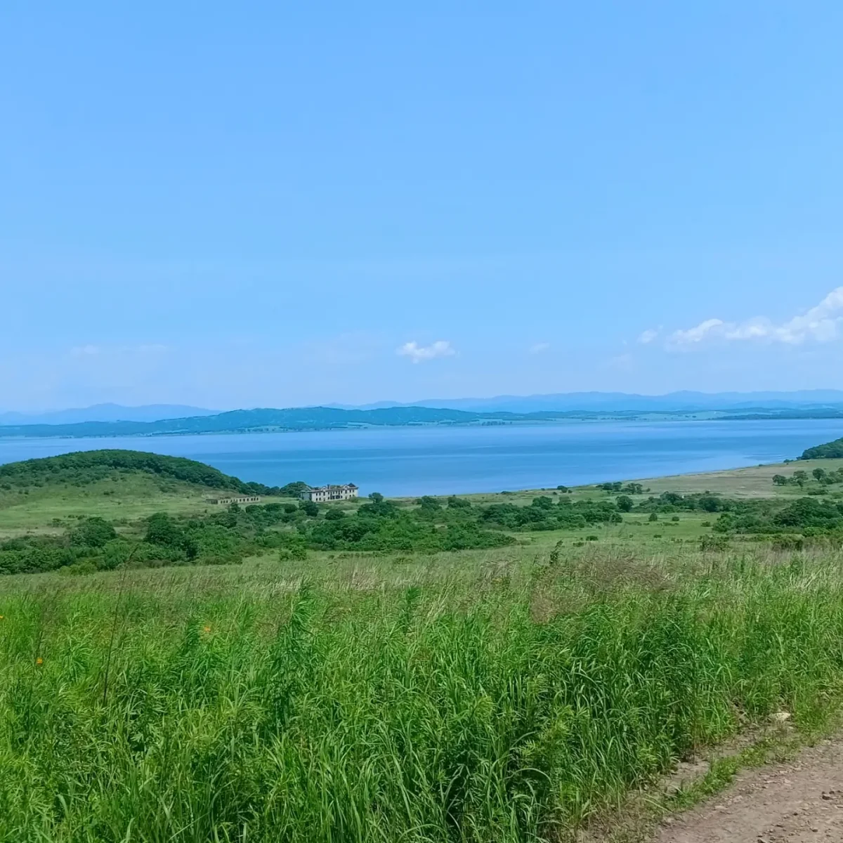 Погода в Полуостров Гамова