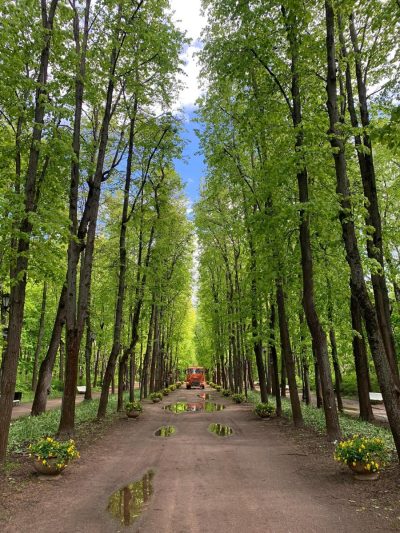 Neskuchny Garden в апреле — фото погоды (2026-04-20)