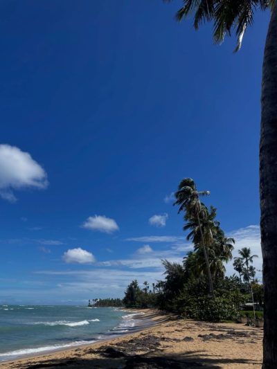 Playa Las Terrenas, Dominican Republic в феврале — фото погоды (2026-02-06)