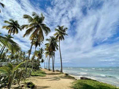 Playa Las Terrenas, Dominican Republic в мае — фото погоды (2026-05-11)