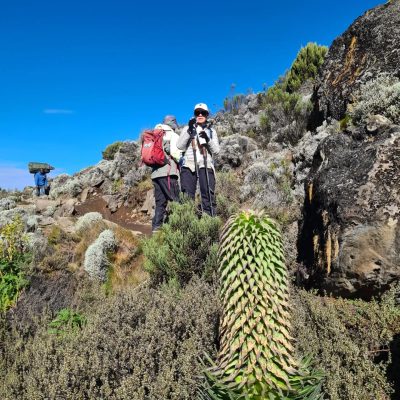 Lawa Tower (Machame/ Lemosho route to Kilimanjaro) в феврале — фото погоды (2026-02-28)