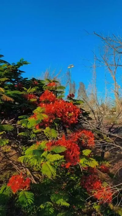 Gran Canaria Playa De Ingles в июне — фото погоды (2026-06-28)