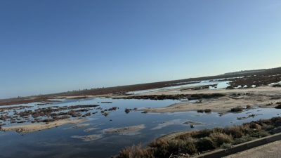 Djerba–Zarzis International Airport в ноябре — фото погоды (2025-11-21)