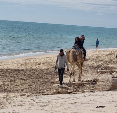 Ясмин-Хаммамет в феврале — фото погоды (2026-02-12)