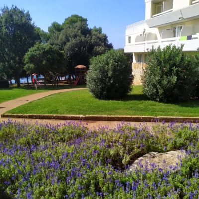 Zelena Laguna Hotel Delfin — фото погоды в сентябре (2023-09-19)